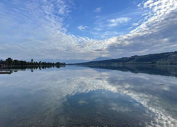 Spiegelung im Baldeggersee 