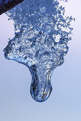 Eisige Skulpturen hängen im Gebüsch - und schmelzen nun 