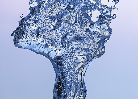 Eisige Skulpturen hängen im Gebüsch - und schmelzen nun 