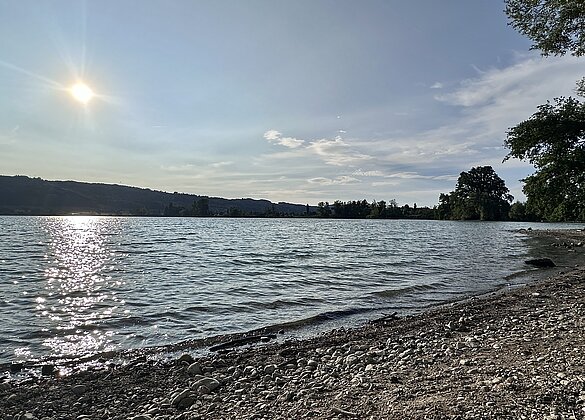 Meerfeeling am Baldeggersee 