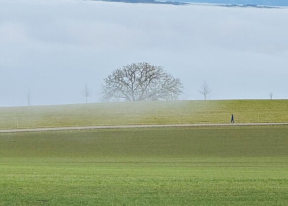In Müswangen bald vom Nebel eingehüllt 
