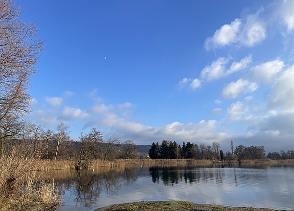 Dezembertag am Hallwilersee