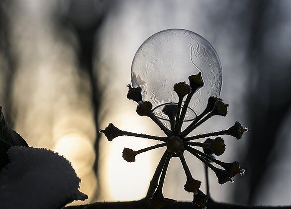 Der Moment, bevor die Seifenblase in der Kälte gefriert.
