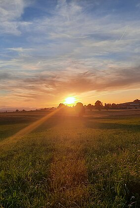 Sonnenuntergang in Müswangen 