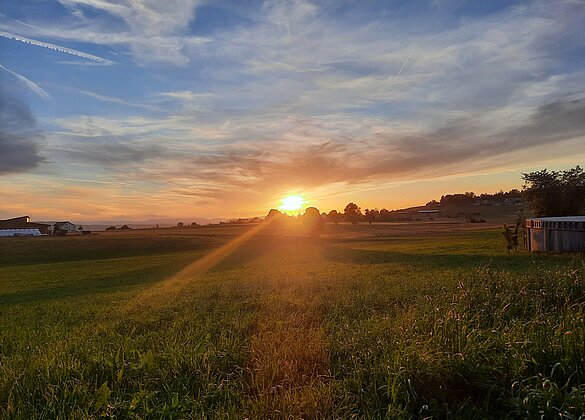 Sonnenuntergang in Müswangen 