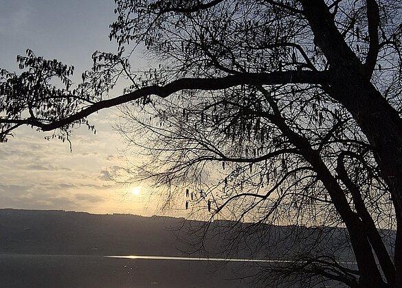 Abendstimmung am Baldeggersee