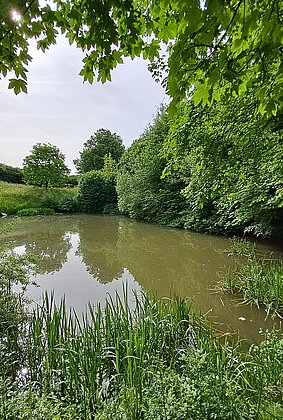 Ein Ort der Stille und Besinnung.