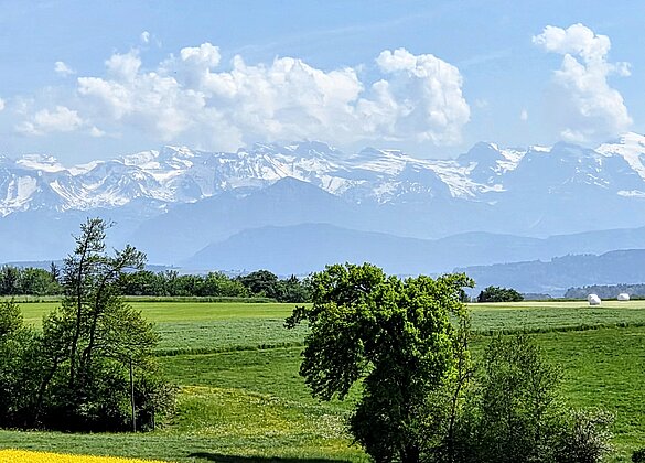 Farbenpracht