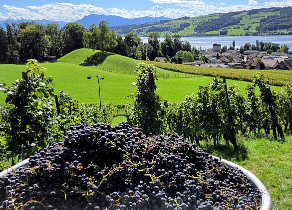 Erntedank im Kaiserspan