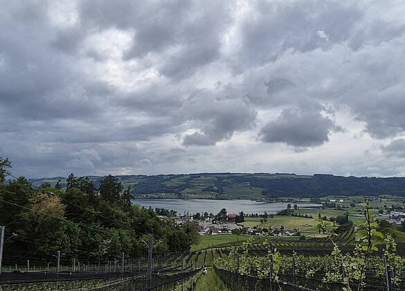 Gewitter im Anzug