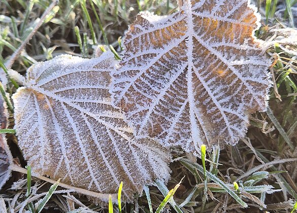 Jede Jahrezeit hat seine schönen Seiten