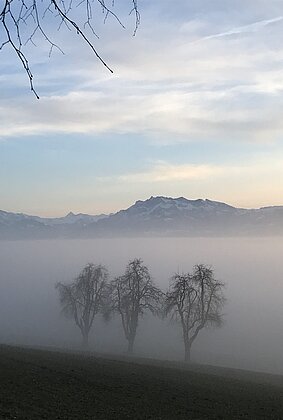 Abendstimmung mit Nebelmeer