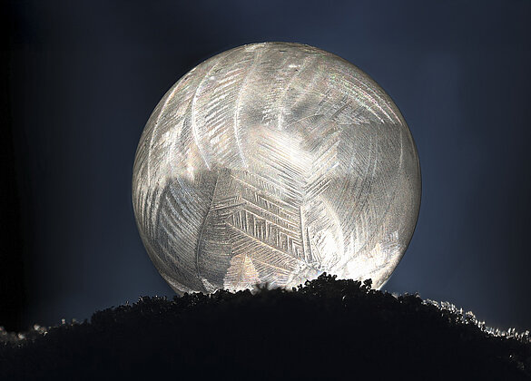 Eisig kalt wars heute Morgen - selbst Seifenblasen gefroren.