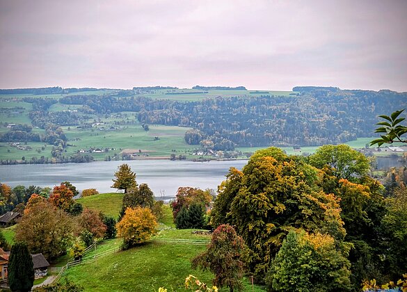 Der  Herbst lässt Grüssen