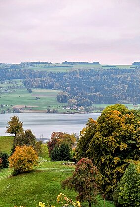 Der  Herbst lässt Grüssen