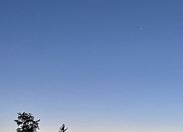 Abendsilhouette