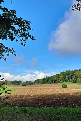Herbstlandschaft beim Chriegholz