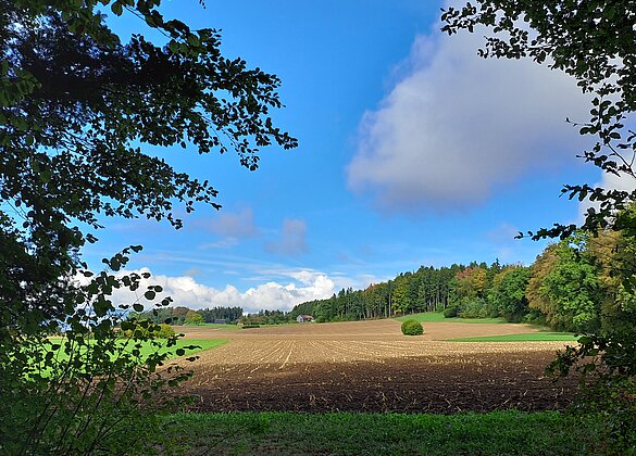 Herbstlandschaft beim Chriegholz