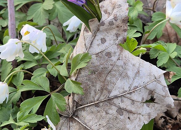 Jeder sucht sich seinen Weg