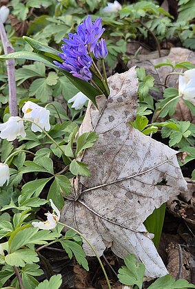 Jeder sucht sich seinen Weg