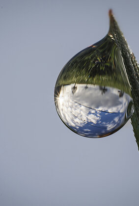 Schönes Herbstwetter auch in der Spiegelung des Tautropfens.