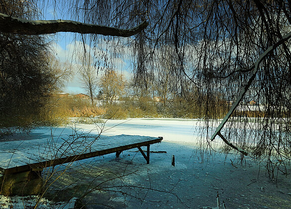 Winter beim Gütschweiher