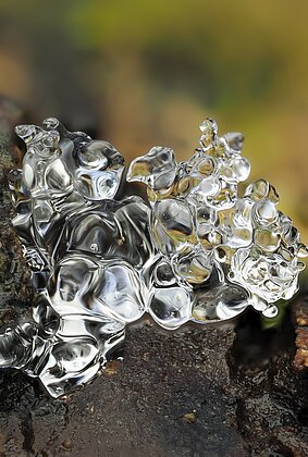 Was vom Winter übrigbleibt