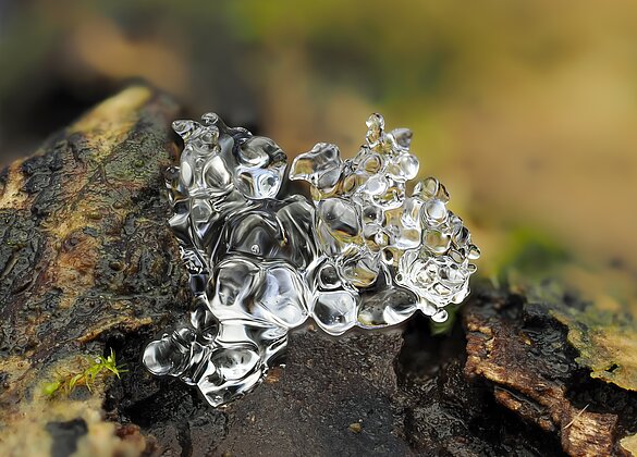 Was vom Winter übrigbleibt