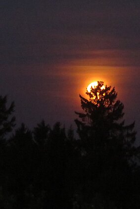 Der Mai Vollmond verabschieded sich