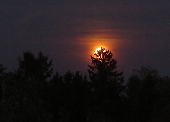 Der Mai Vollmond verabschieded sich