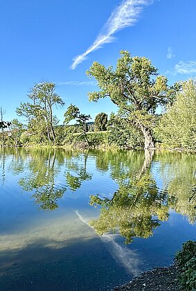 Wunderschöne Spiegelung