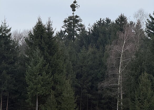 Der Osterhase ist bereits unterwegs. 