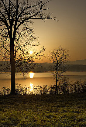 Morgens am Baldeggersee