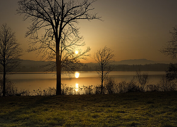 Morgens am Baldeggersee