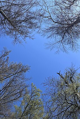 Waldbaden - immer wieder schön!