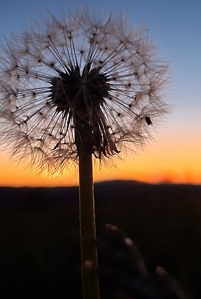 Sonnenuntergang in Müswangen 