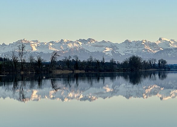 Unglaublich schöne Spiegelung im Baldeggersee