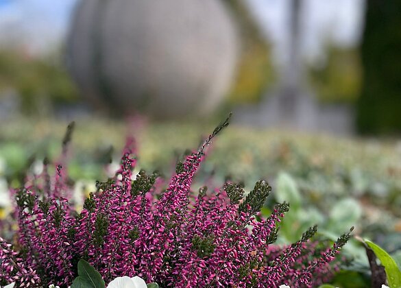 Friedlicher Friedhof vor Allerheiligen