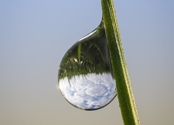 Wetter: heiter bis wolkig (im Tautropfen)