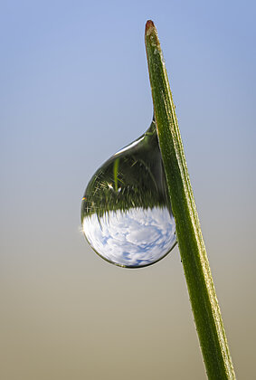 Wetter: heiter bis wolkig (im Tautropfen)
