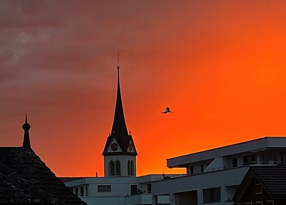 Abendstimmung 16.07.2026, inkl. Storch