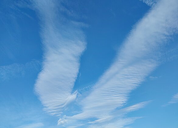 Friedenstaube am Himmel