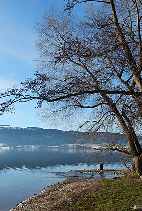 Sonniger Wintertag am Baldeggersee.