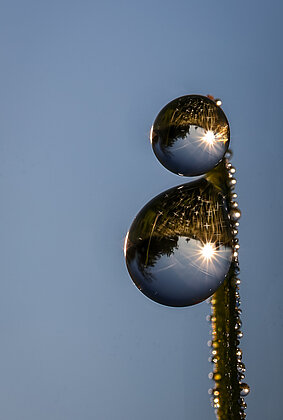 Herbstzeit im Anmarsch - die Tautropfen glitzern wieder