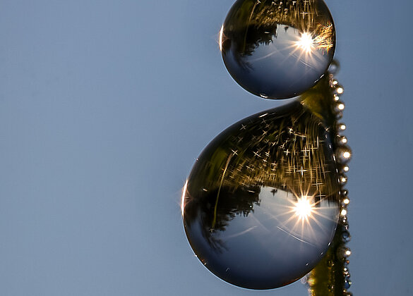 Herbstzeit im Anmarsch - die Tautropfen glitzern wieder