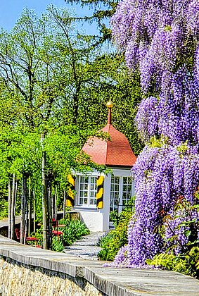 Beim Rosengarten Schloss Heidegg