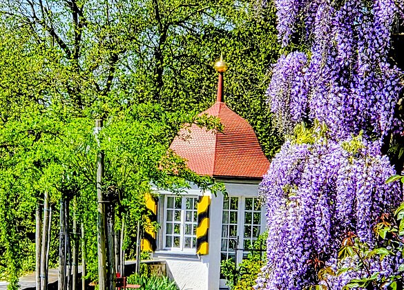 Beim Rosengarten Schloss Heidegg