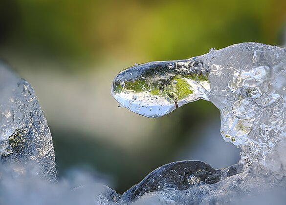 Die Sonne lässt das Eis schmelzen.