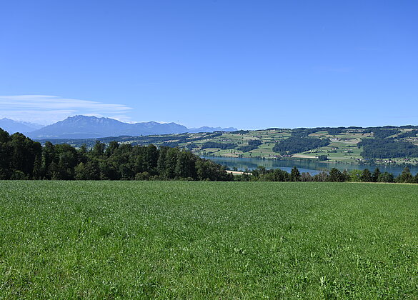 Sommertag mit Baldeggersee und Pilatus.