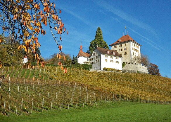 Die Heydegg im Herbstlicht.